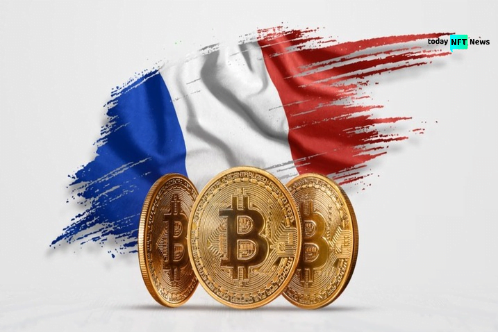 Cryptocurrency Gains Momentum Among French Investors, OECD Survey Reveals