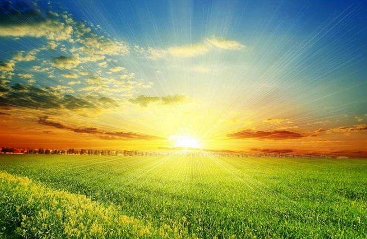 Solana Balloons To 50%, Nearly Triples in a Month